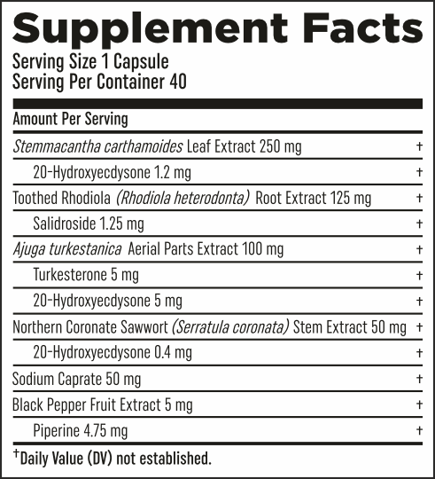 HTLT Turk Builder Platinum (40 Capsules)